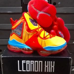 Lebron Space Jam shoes